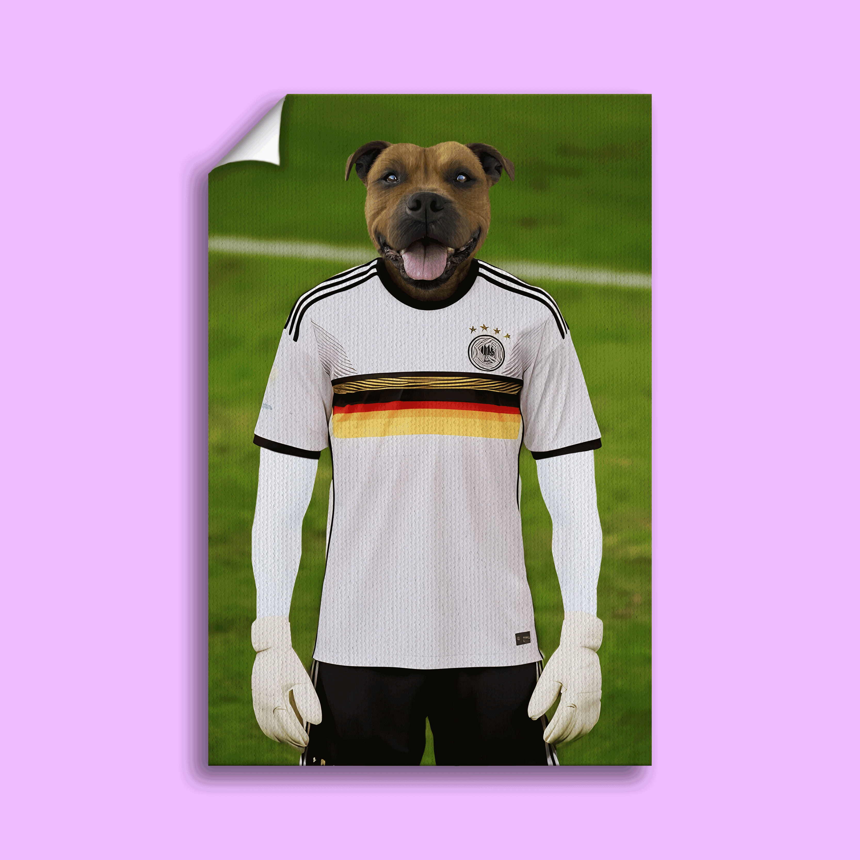 Football Player - Custom Pet Portrait